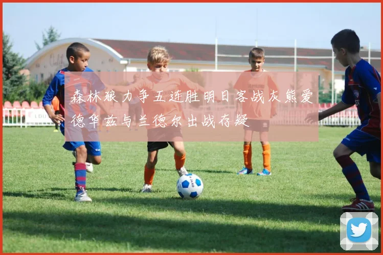 森林狼力争五连胜明日客战灰熊爱德华兹与兰德尔出战存疑