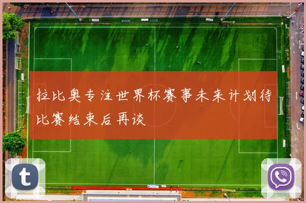拉比奥专注世界杯赛事未来计划待比赛结束后再谈
